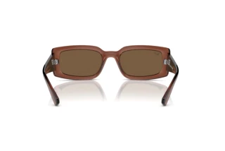 Rückansicht Ray-Ban KILIANE (RB4395 - 667873)