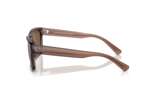 Vista laterale Ray-Ban WARREN (RB4396 - 667873)