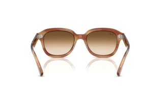 Rückansicht Ray-Ban ERIK (RB4398 - 140351)