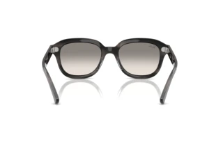 Rückansicht Ray-Ban ERIK (RB4398 - 140432)