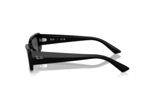 Seitenansicht Ray-Ban TERU (RB4425 - 667787)