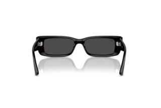 Rückansicht Ray-Ban TERU (RB4425 - 667787)