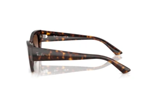 Vue latérale Ray-Ban ZENA (RB4430 - 135913)