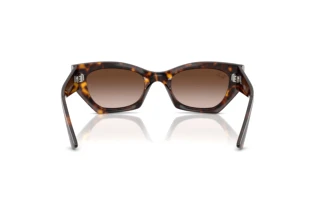 Vue arrière Ray-Ban ZENA (RB4430 - 135913)