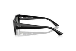 Seitenansicht Ray-Ban ZENA (RB4430 - 667711)