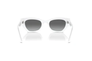 Vue arrière Ray-Ban ZENA (RB4430 - 675911)