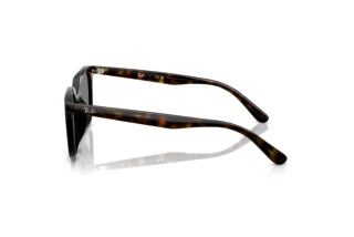 Vue latérale Ray-Ban RB4439D (710/87)