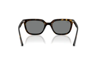Vue arrière Ray-Ban RB4439D (710/87)
