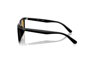 Vue latérale Ray-Ban RB4439D (901/73)