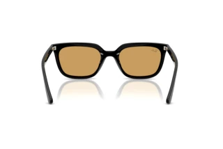 Vue arrière Ray-Ban RB4439D (901/73)