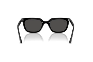 Vue arrière Ray-Ban RB4439D (901/87)