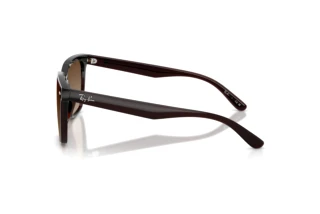 Vue latérale Ray-Ban RB4466D (714/13)