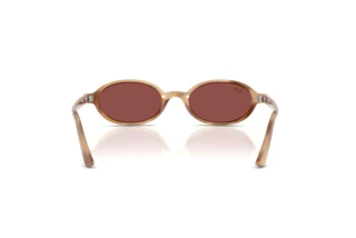 Vue arrière Ray-Ban RB4472 (685675)