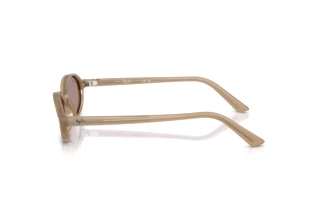 Seitenansicht Ray-Ban RB4472 (6891LA)