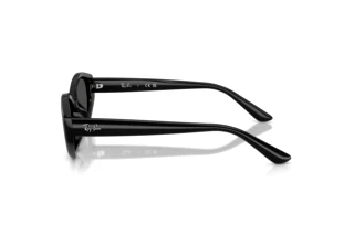 Seitenansicht Ray-Ban RB4473D (667787)