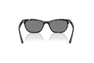 Vue arrière Ray-Ban RB4474D (710/87)
