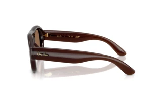 Vue latérale Ray-Ban RB4925 (689673)