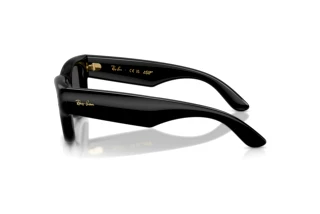 Seitenansicht Ray-Ban WAYFARER PUFFER (RB4940 - 601/87)