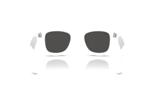 Vue arrière Ray-Ban WAYFARER PUFFER (RB4940B - 686387)