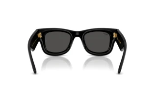 Rückansicht Ray-Ban WAYFARER PUFFER (RB4940BP - 686587)