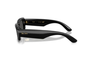 Vue latérale Ray-Ban RB4944 (601/87)