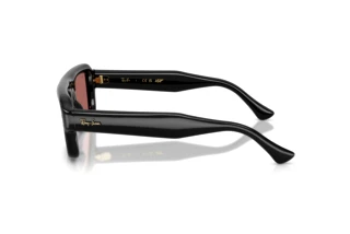 Vue latérale Ray-Ban RB4954 (601/69)
