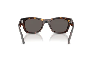 Rückansicht Ray-Ban JOSEPH (RB7683S - 902/B1)