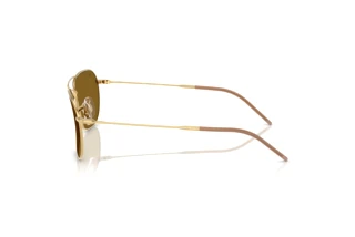 Seitenansicht Ray-Ban CARAVAN REVERSE (RBR0102S - 001/83)