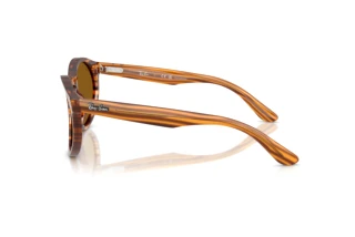 Vue latérale Ray-Ban RBR0505S (679183)