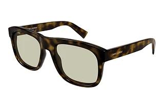 Saint Laurent SL 558 013 HAVANA