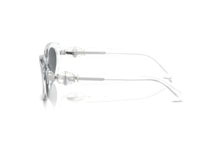 Vue latérale Swarovski SK6002 (102787)