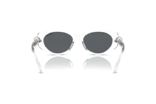 Vue arrière Swarovski SK6002 (102787)