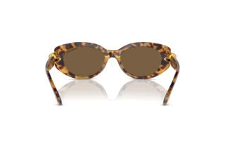 Vue arrière Swarovski SK6002 (104073)