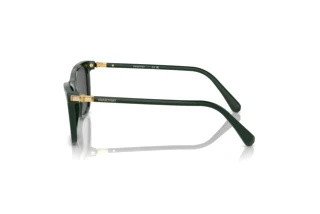 Vista laterale Swarovski SK6004 (102687)
