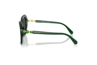 Seitenansicht Swarovski SK6017 (104587)