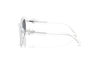 Vue latérale Swarovski SK6018 (102787)