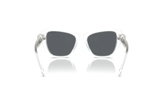 Vue arrière Swarovski SK6018 (102787)