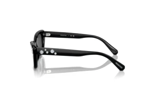 Seitenansicht Swarovski SK6019 (100187)