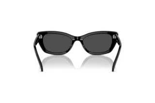 Rückansicht Swarovski SK6019 (100187)