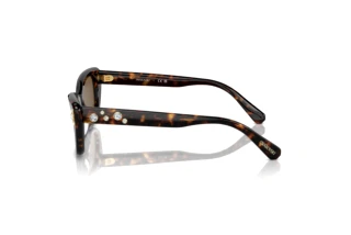 Vue latérale Swarovski SK6019 (100273)