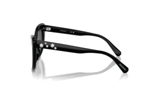 Seitenansicht Swarovski SK6020 (100187)