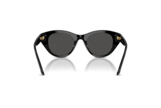 Vue arrière Swarovski SK6025 (100187)
