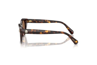 Seitenansicht Swarovski SK6025 (100273)