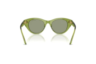 Vue arrière Swarovski SK6025 (3002/2)