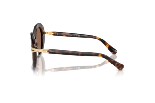 Vue latérale Swarovski SK6026 (100273)