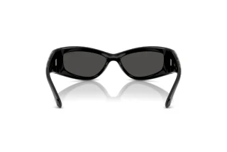 Rückansicht Swarovski SK6027 (100187)