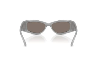Vue arrière Swarovski SK6027 (10596G)
