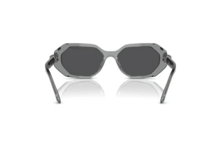Vista posteriore Swarovski SK6028 (10626G)