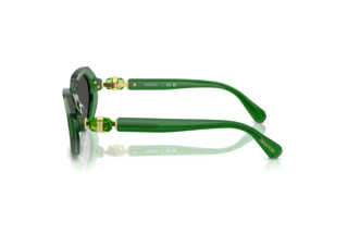 Seitenansicht Swarovski SK6028 (106487)