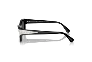 Seitenansicht Swarovski SK6029 (100187)